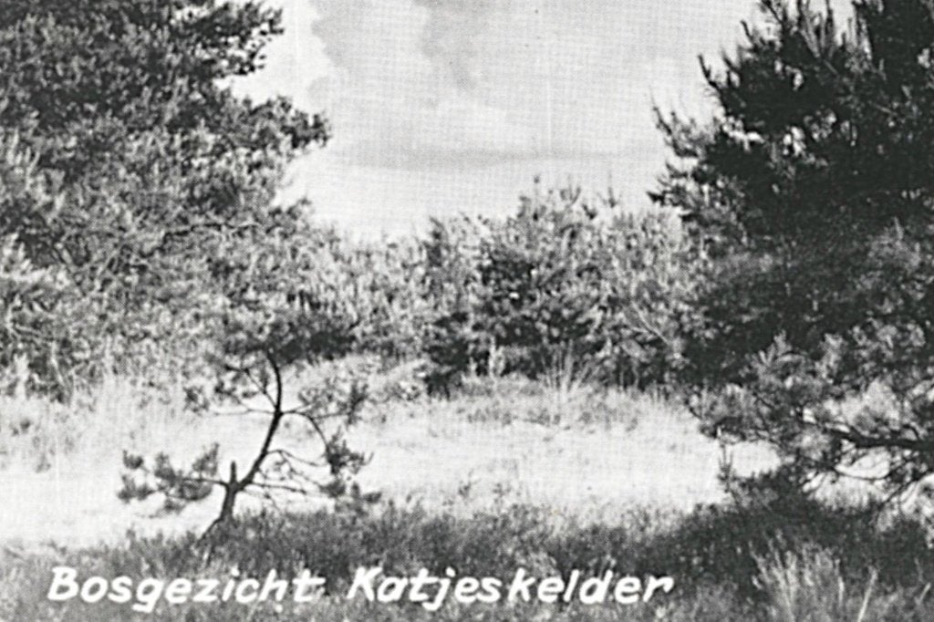 947156 Oosterhout NB 1960 Katjeskelder Gelopen met Postzegel, Ophalen of Verzenden, 1960 tot 1980, Gelopen, Noord-Brabant