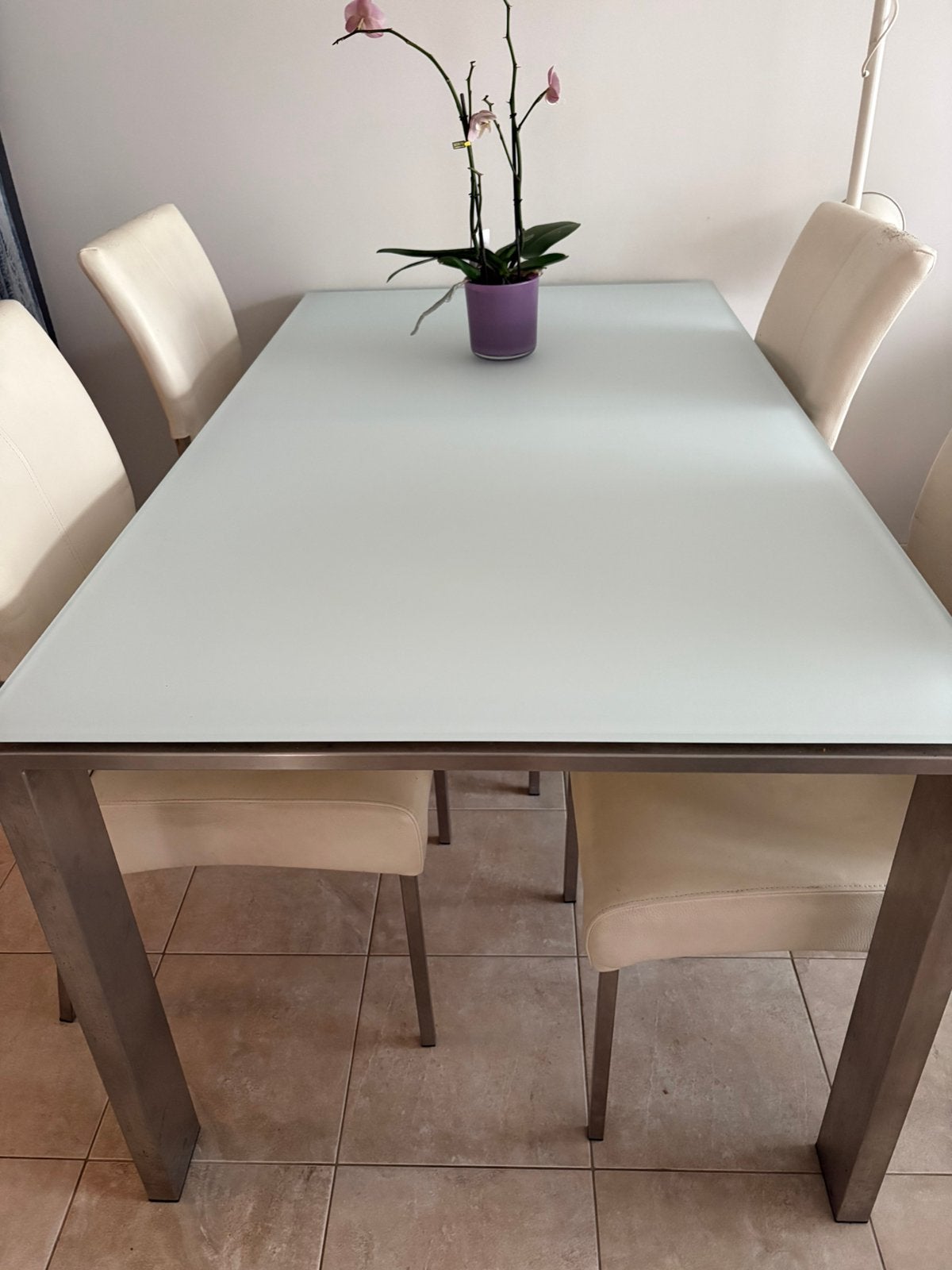 Mooie glazen eettafel met metalen poten, Huis en Inrichting, Tafels | Eettafels, Ophalen, Zo goed als nieuw, Rechthoekig, 50 tot 100 cm