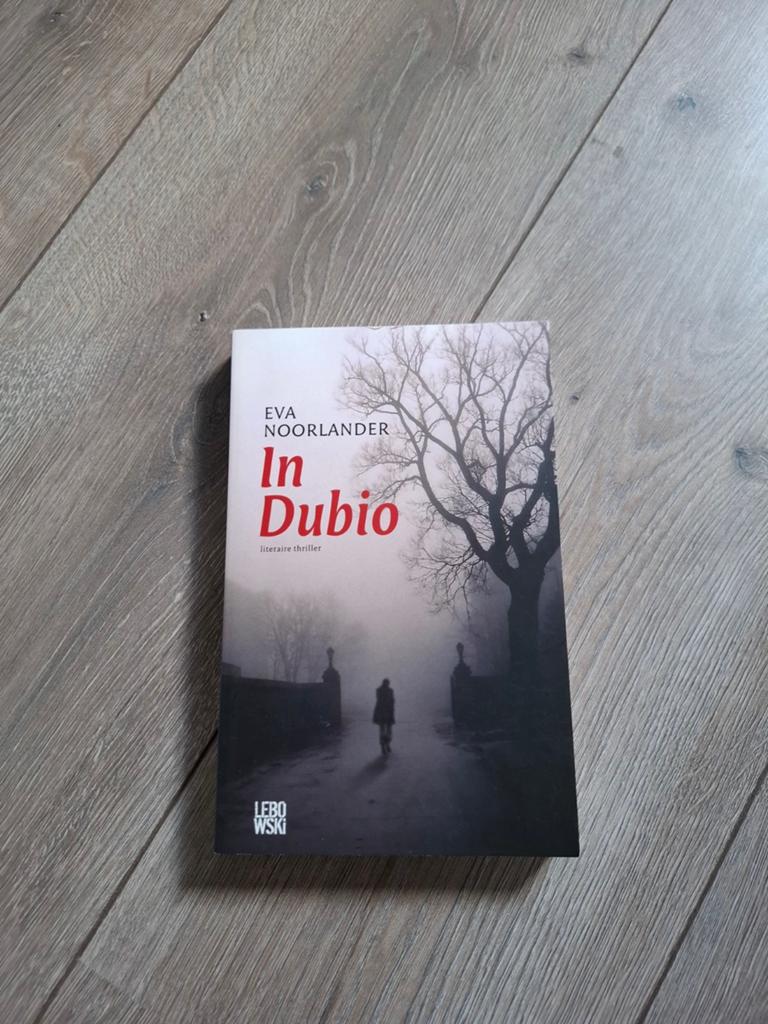 In Dubio - Eva Noorlander (Literaire thriller), Boeken, Ophalen of Verzenden, Zo goed als nieuw, Eva Noorlander, Nederland