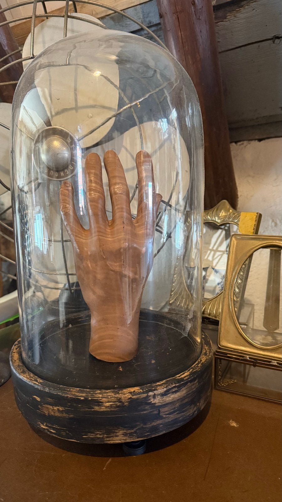 Antieke hand in glazen stolp - Curiosa, Ophalen of Verzenden