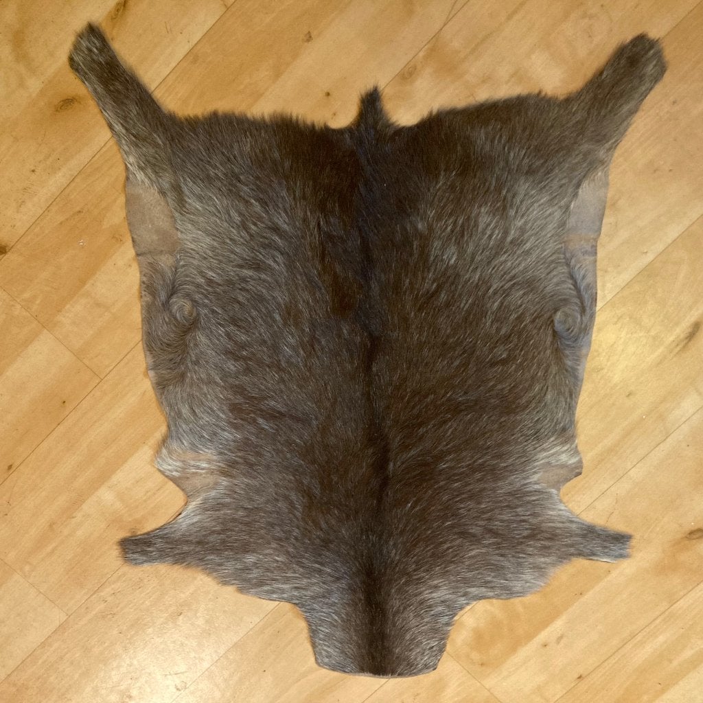 Rendierenhuid ongeveer 95x72, 50 tot 100 cm, Zo goed als nieuw, Rechthoekig, 50 tot 100 cm