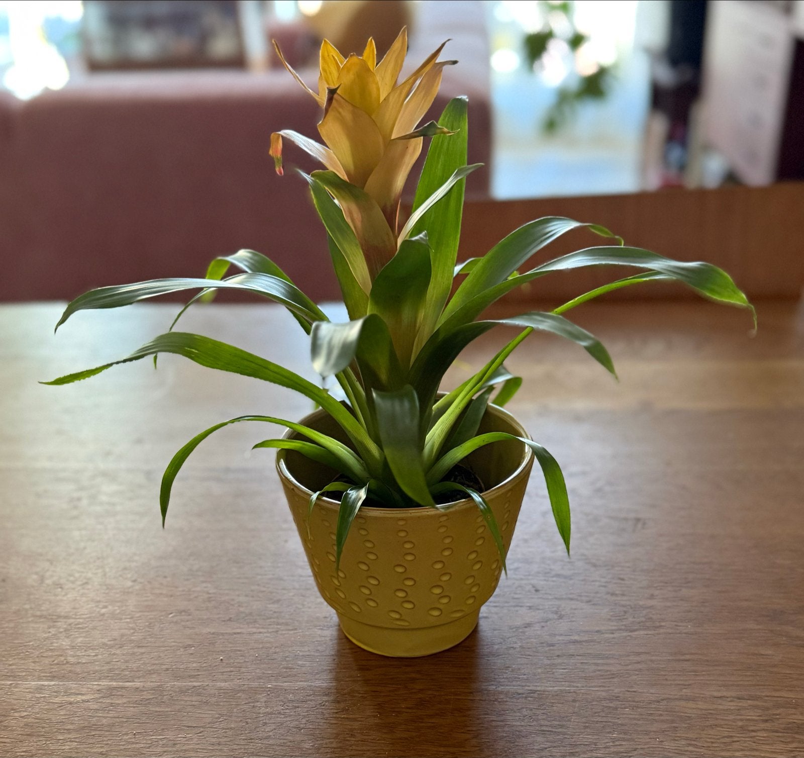 Vintage Adco bloempot, Ophalen of Verzenden, Huis en Inrichting