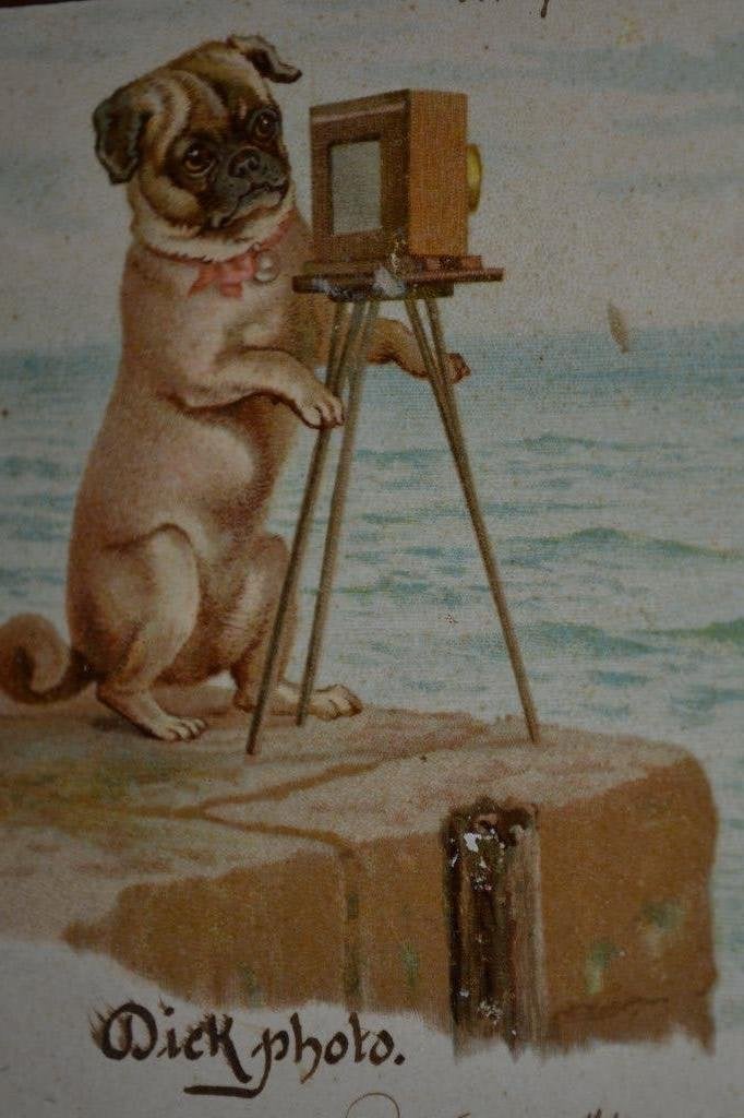 FRK 1905 LITHO  MENSELIJK MOPSHONDJE FOTOTOESTEL CAMERA, Ophalen of Verzenden, Voor 1920, Gelopen, Sterren en Beroemdheden