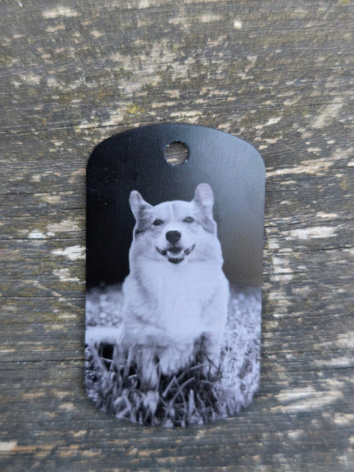 Gepersonaliseerde  hondenpenning - dogtag met foto of naam, Dieren en Toebehoren, Verzenden, Handgemaakt, Nieuw