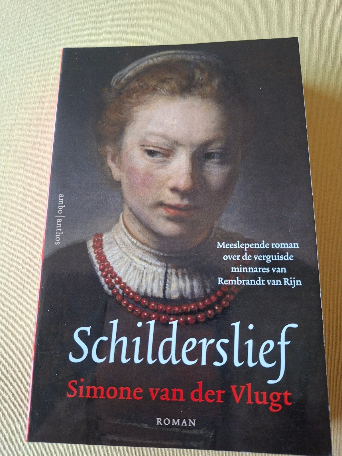 Schilderslief - Simone van der Vlugt (Roman), Ophalen of Verzenden, Zo goed als nieuw, Simone van der Vlugt, Nederland