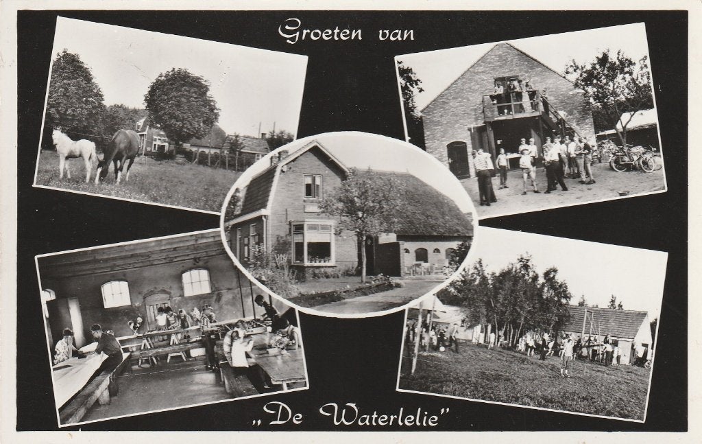 Hulshorst   de Waterlelie, Ophalen of Verzenden, 1940 tot 1960, Gelopen, Gelderland