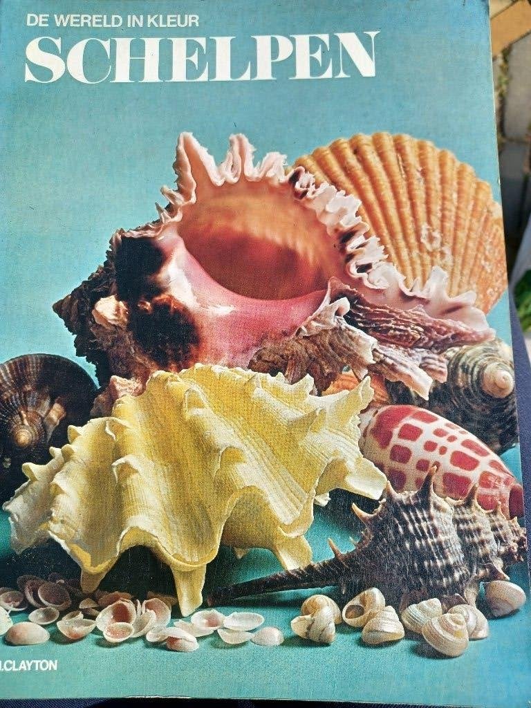 Boek: Schelpen de wereld in kleur, Verzamelen, Ophalen of Verzenden, Schelp(en)