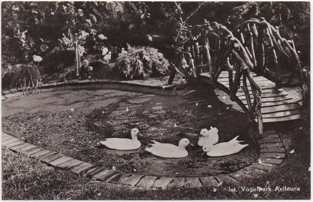 Alphen aan den Rijn  Vogelpark Avifauna, Ophalen of Verzenden, 1980 tot heden, Gelopen, Zuid-Holland