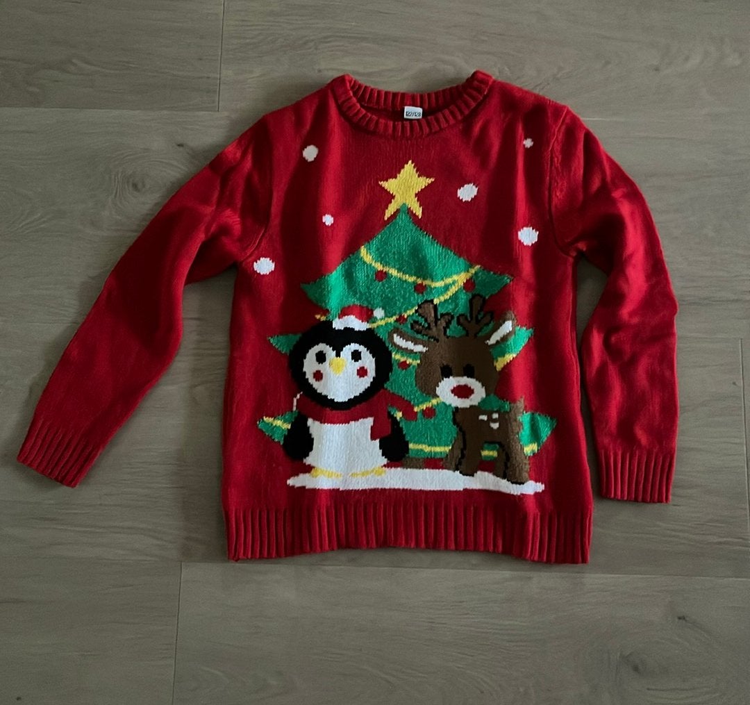 Kersttrui maat 122/128, Ophalen of Verzenden, Gebruikt, Jongen of Meisje, Trui of Vest