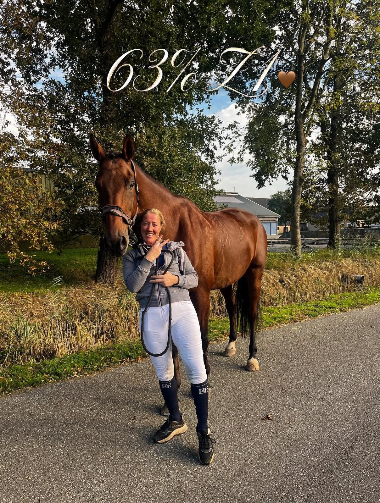In prijs verlaagd. 8-jarige grote brave Z dressuur ruin., 175 cm of meer, Ruin, Dressuurpaard, 7 tot 10 jaar