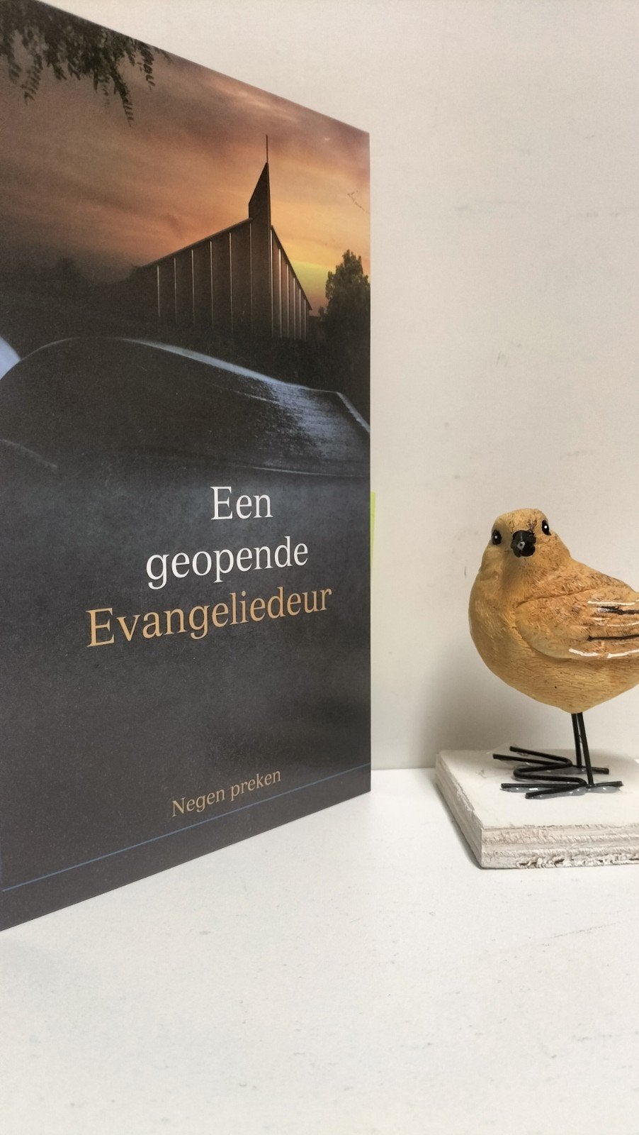 Div. Auteurs Ger Gem. ; Een geopende Evangeliedeur, Ophalen of Verzenden, Gelezen, Christendom | Protestants