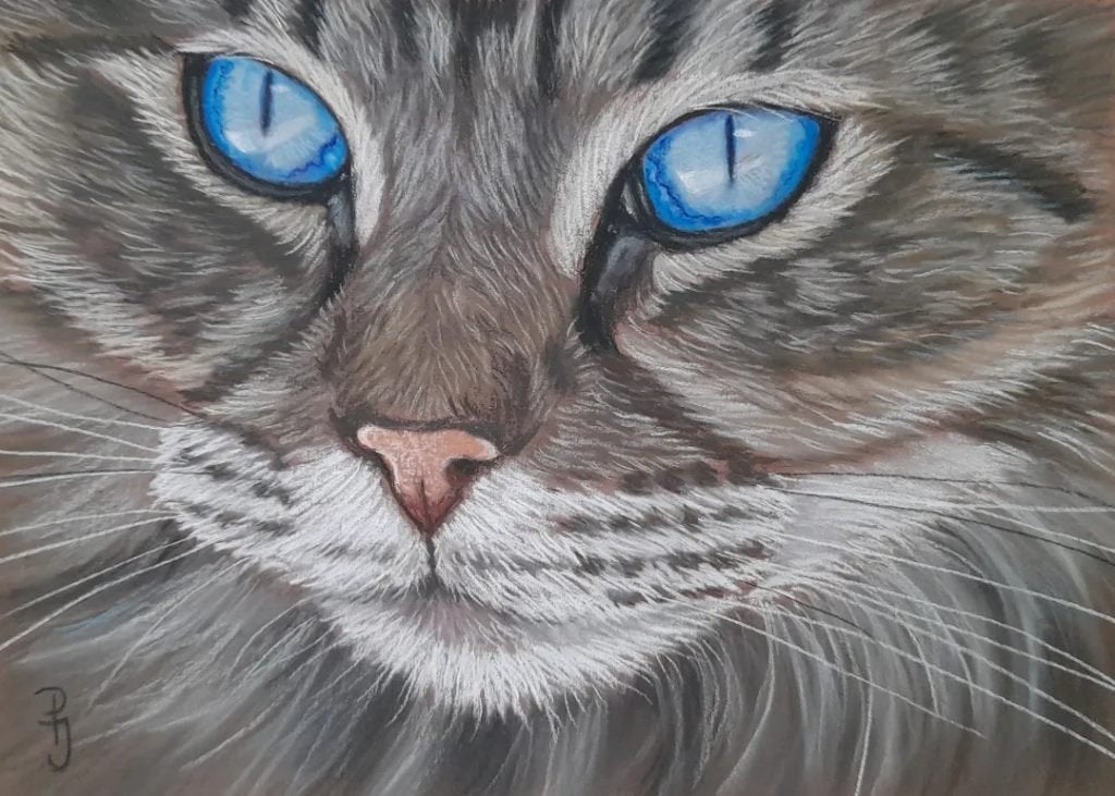 Schilderij noorse boskat - GRATIS VERZENDING - kat katten, Ophalen of Verzenden, Nieuw