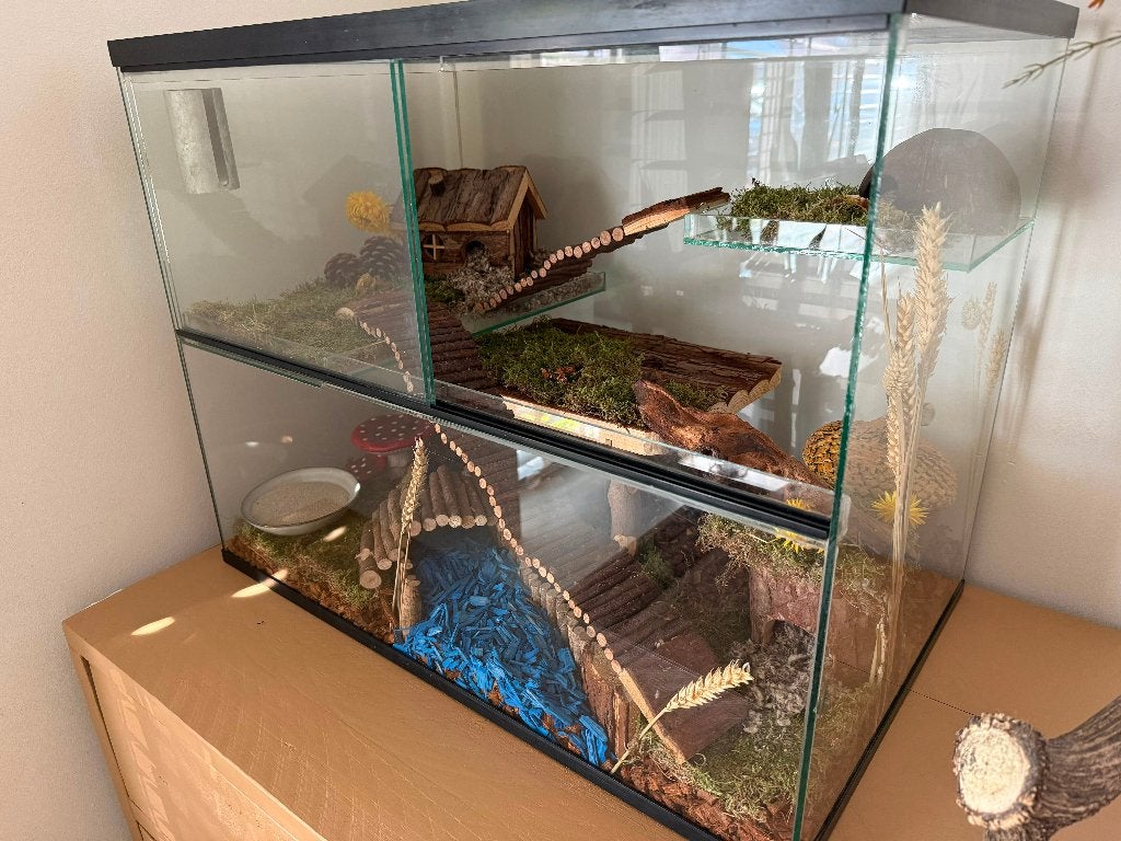 Luxe Glazen Hamsterhok / Terrarium, Minder dan 75 cm, Zo goed als nieuw, Muis, Hok