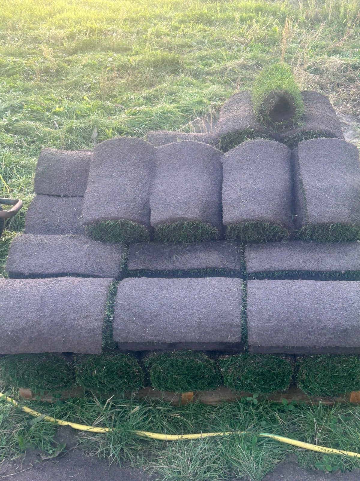 35 m2 gras. kan tot 29-09 gelegd worden., Tuin en Terras, Ophalen, Zo goed als nieuw, 20 m² of meer