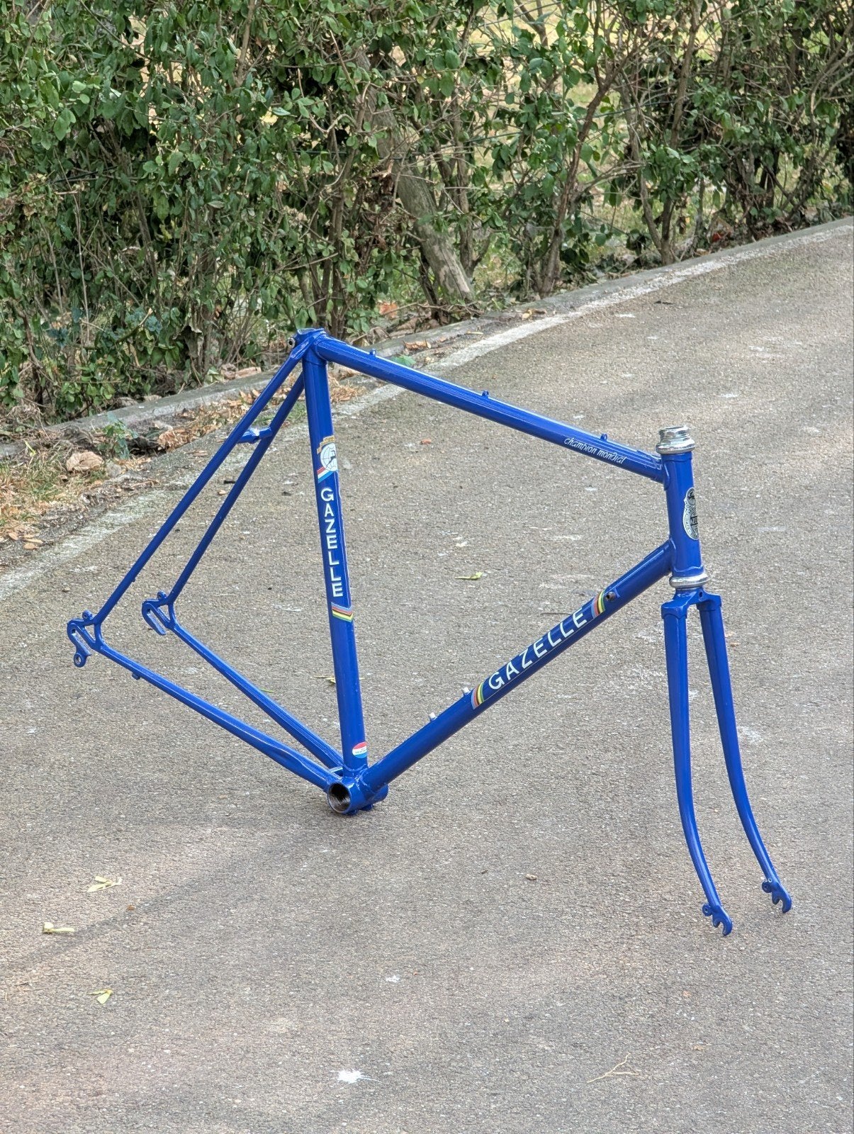 Gazelle Champion Mondial frameset M 56cm - opnieuw gespoten, Ophalen of Verzenden, Racefiets, Frame