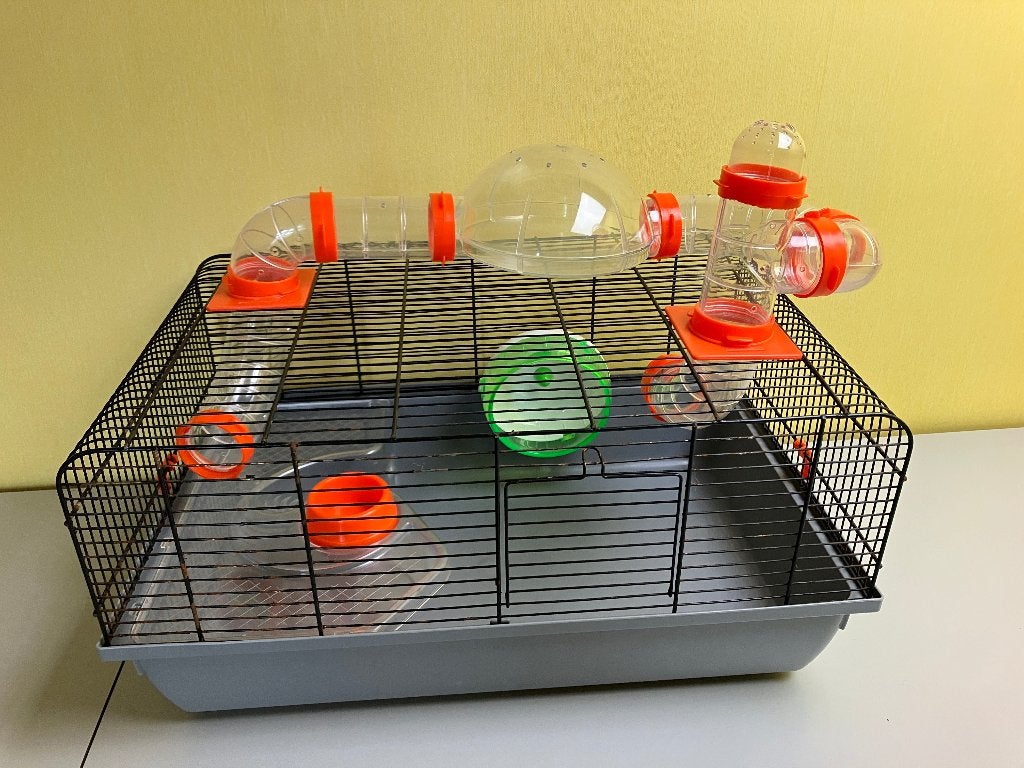 Fijne hamsterkooi dwerghamster kooi compleet met spullen, Minder dan 60 cm, Kooi, Cavia, Minder dan 75 cm
