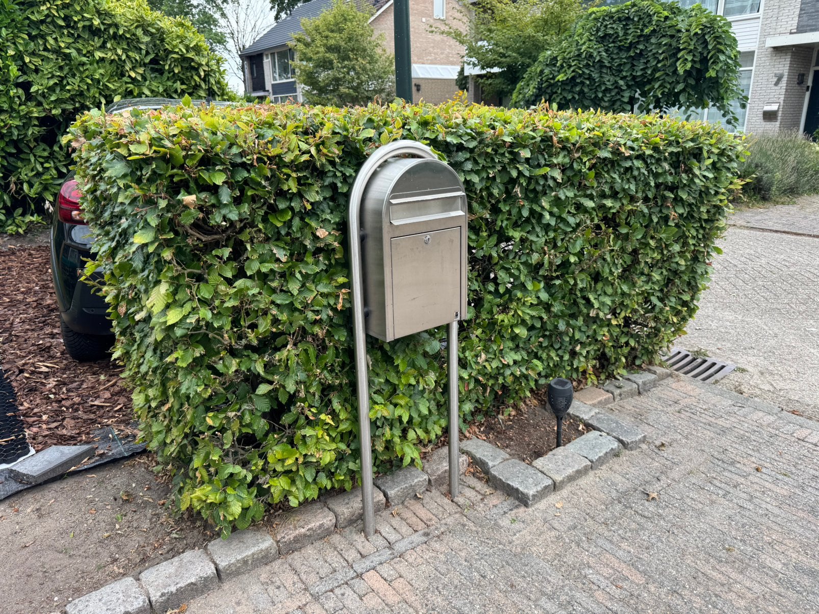 Gratis heg, Ophalen, Haag, 100 tot 250 cm