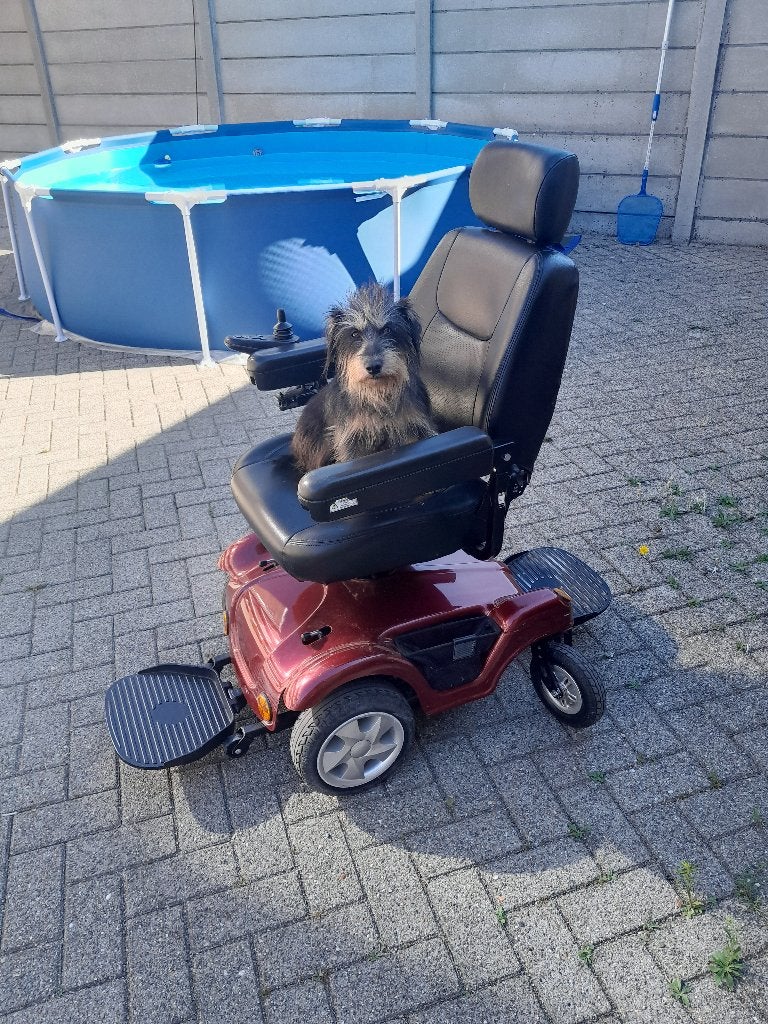 ELEKTRISCHE ROLSTOEL RASCAL, Ophalen, Zo goed als nieuw, Elektrische rolstoel