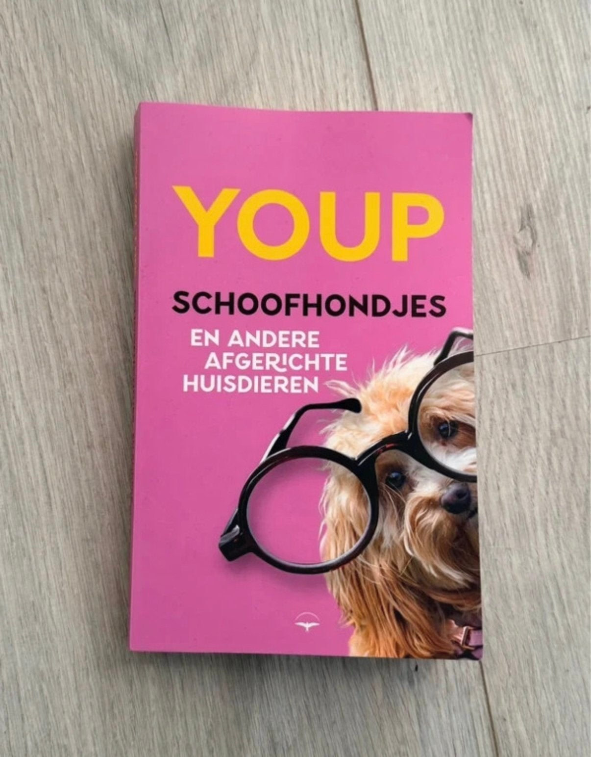 Youp – Schoonhondjes en andere afgerichte huisdieren, Ophalen of Verzenden, Zo goed als nieuw, Cabaret, Youp van 't Hek
