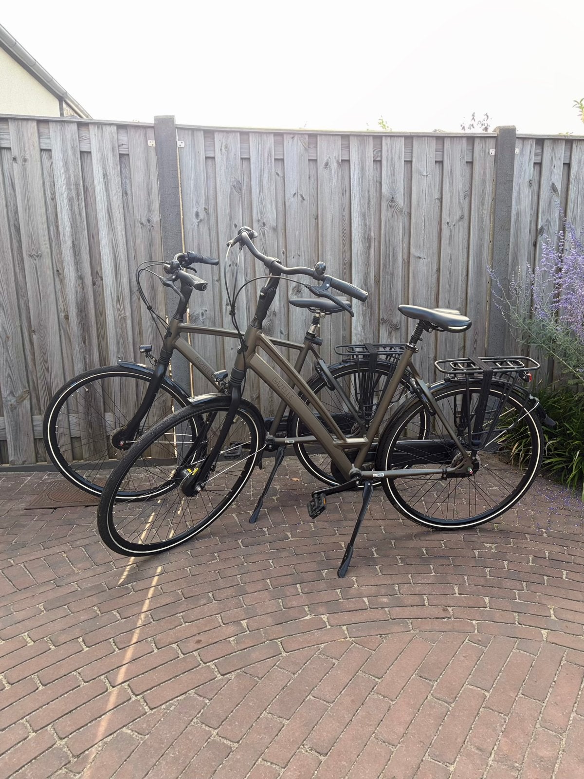 Gazelle Chamonix C8 Fietsen Set, Ophalen, Gebruikt, Versnellingen, Gazelle