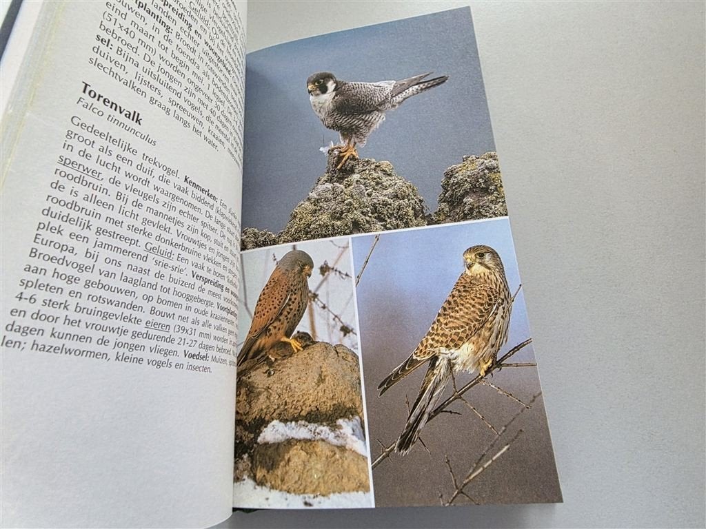Complete Vogelgids — Kenmerken, Verspreiding & Voortplanting, Boeken, Ophalen of Verzenden, Zo goed als nieuw, Paarden of Pony's