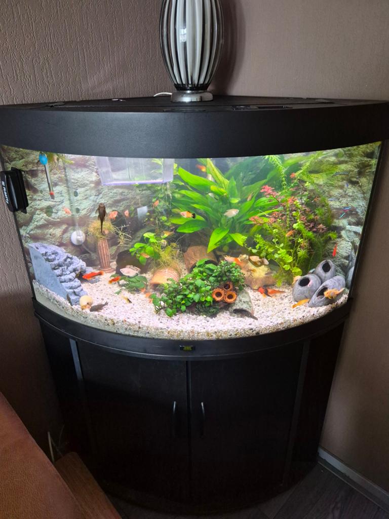 Aquarium, Gebruikt, Verwarming, Ophalen of Verzenden, Leeg aquarium