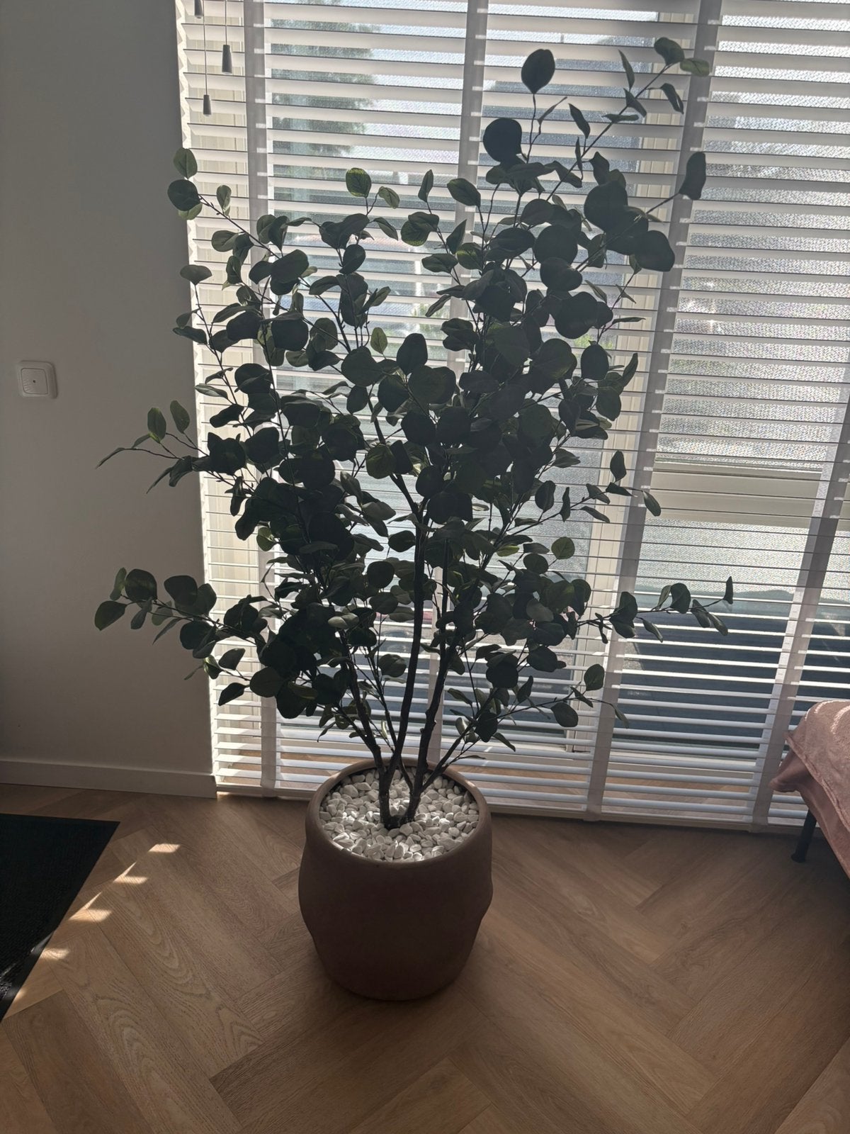 Eucalyptus kunstplant Rhodé + pot, Ophalen, Zo goed als nieuw