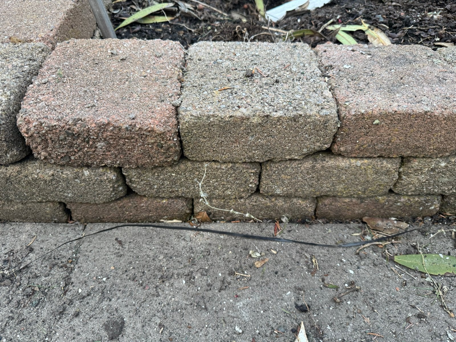 GRATIS 225 gebruikte stenen (14,5x14,5x5 cm), Ophalen, Overige materialen, Gebruikt, Overige typen