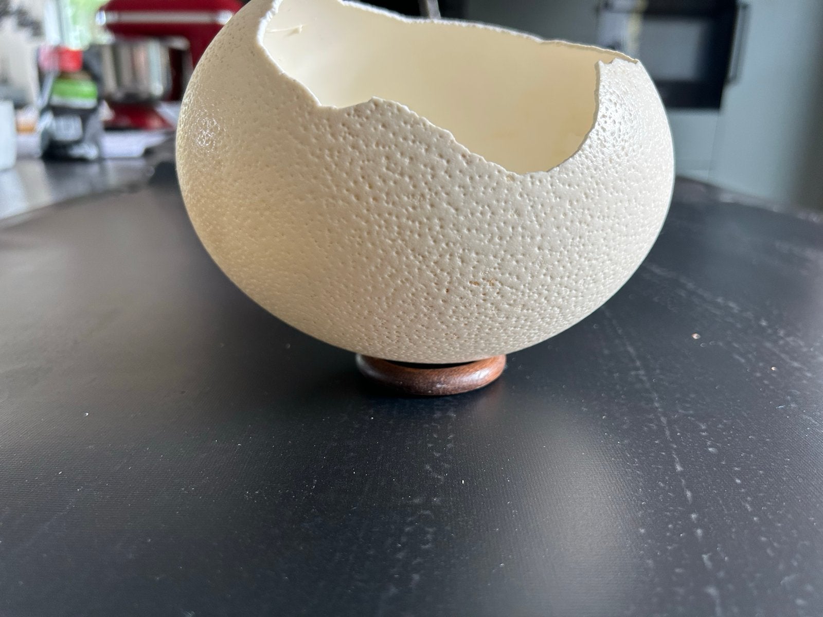 Struisvogel Eierschaal Decoratie op Houten Voetje, Ophalen, Overige materialen, Gebruikt, Schaal