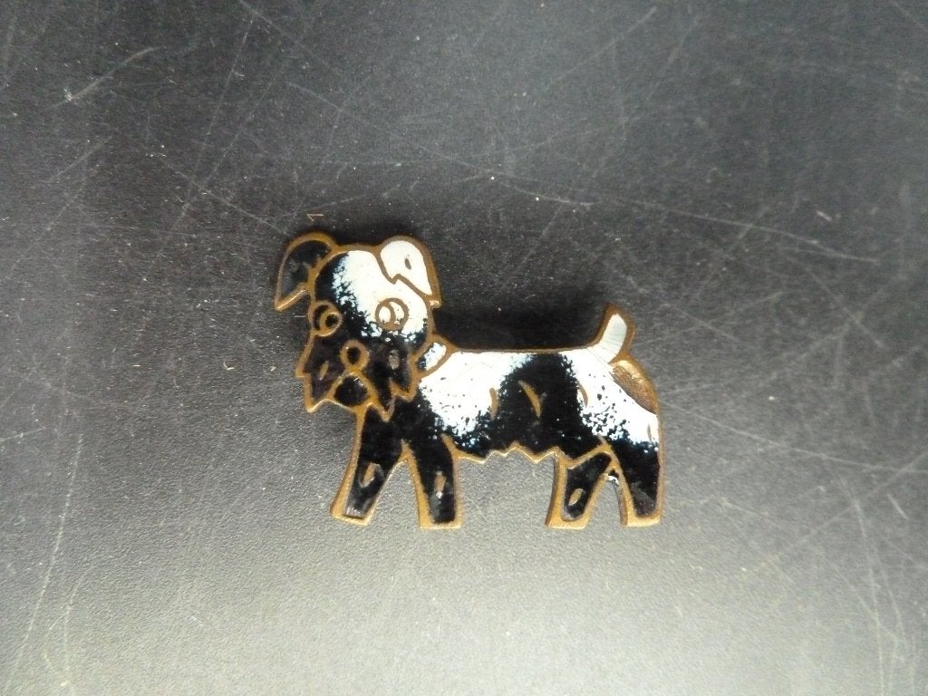 Emaille kinderbroche hondje, Ophalen of Verzenden, Overige materialen, Broche
