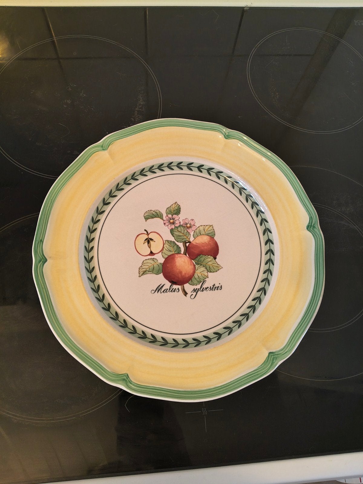 Villeroy & Boch French Garden Valence bord, Villeroy & Boch, Ophalen of Verzenden, Zo goed als nieuw, Bord(en)