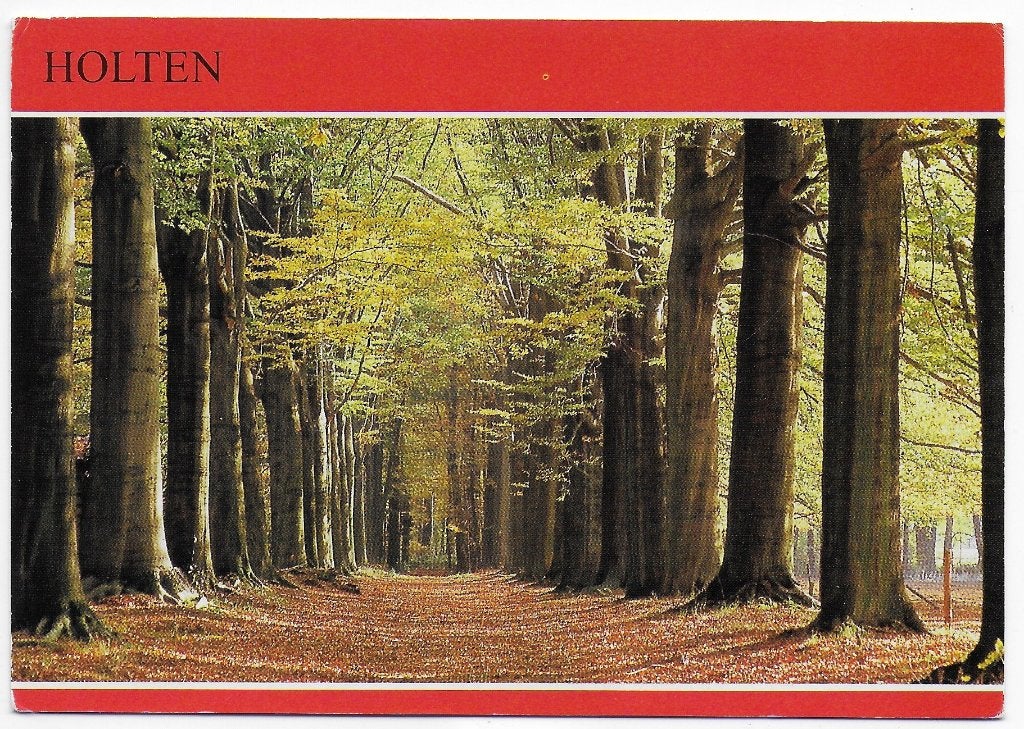 Holten Gelopen Ansichtkaart ( B598), Ophalen of Verzenden, 1980 tot heden, Gelopen, Overijssel