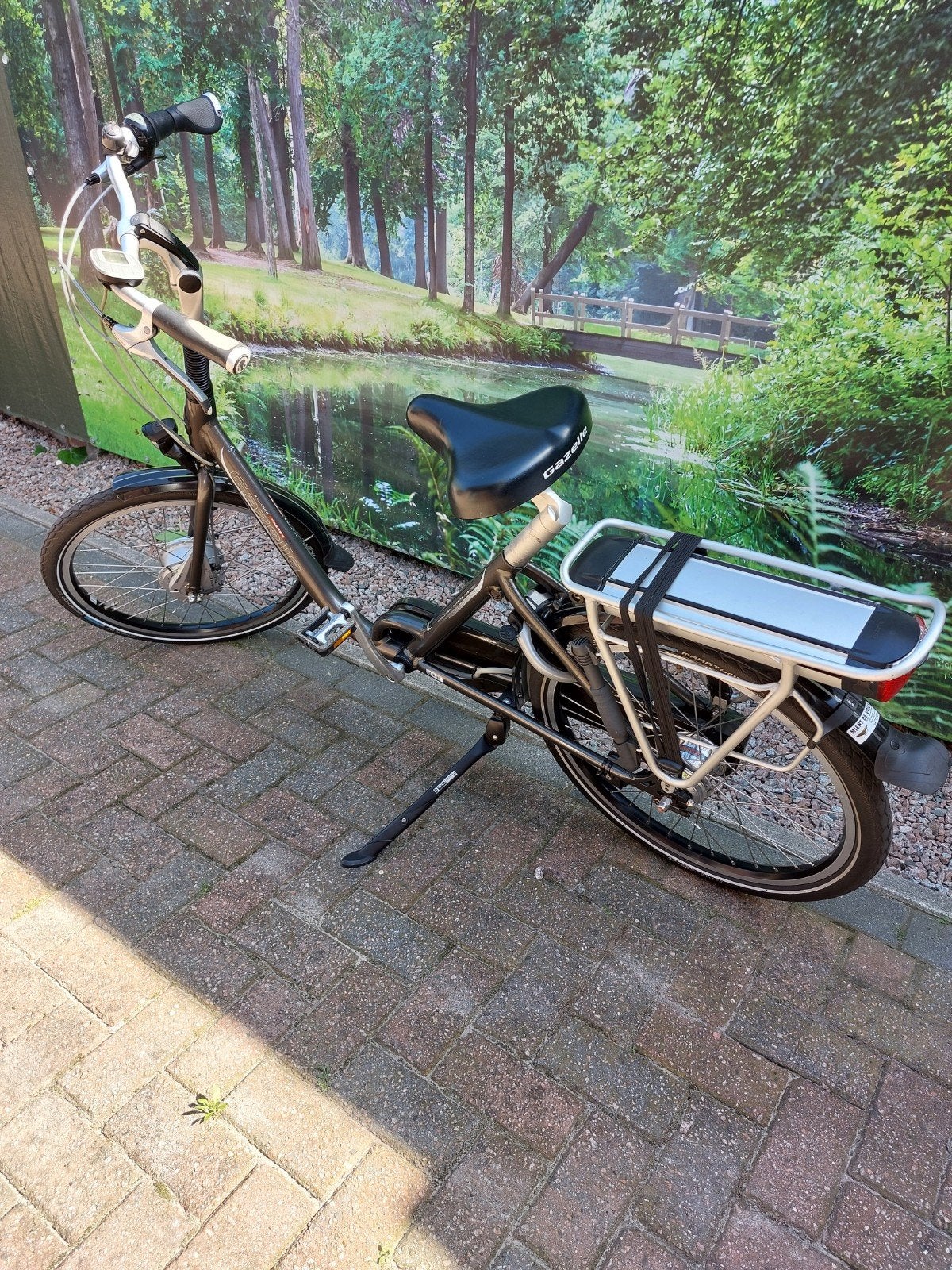 Gazelle balansfiets - Stabiel en prima onderhouden, Ophalen of Verzenden, Gebruikt, Gazelle, (Extra) lage instap