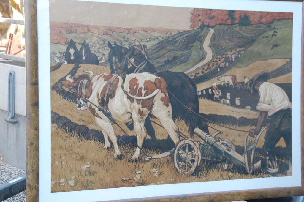 Een groot werk van Volkmann 1901 met een wortelnoten, Antiek en Kunst, Kunst | Litho's en Zeefdrukken, Ophalen of Verzenden