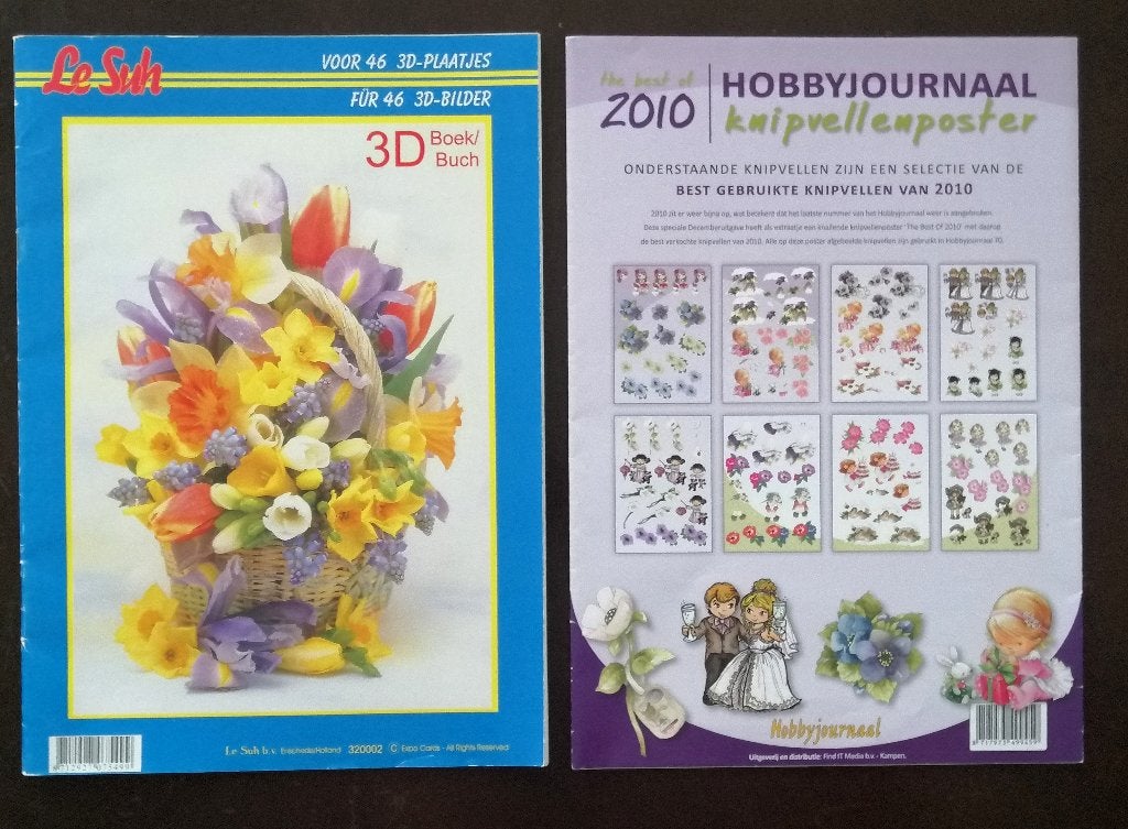 3D knipvellen boek en knipvellenposter, Ophalen of Verzenden, Nieuw, Overige thema's, Knipvel