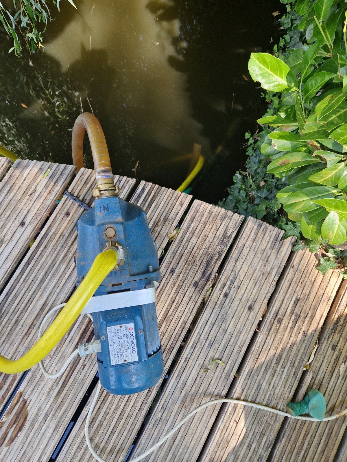 Pedrollo JSWm/10M Waterpomp - Krachtige Zelfaanzuigende Pomp, Tuin en Terras, Waterpompen, Ophalen