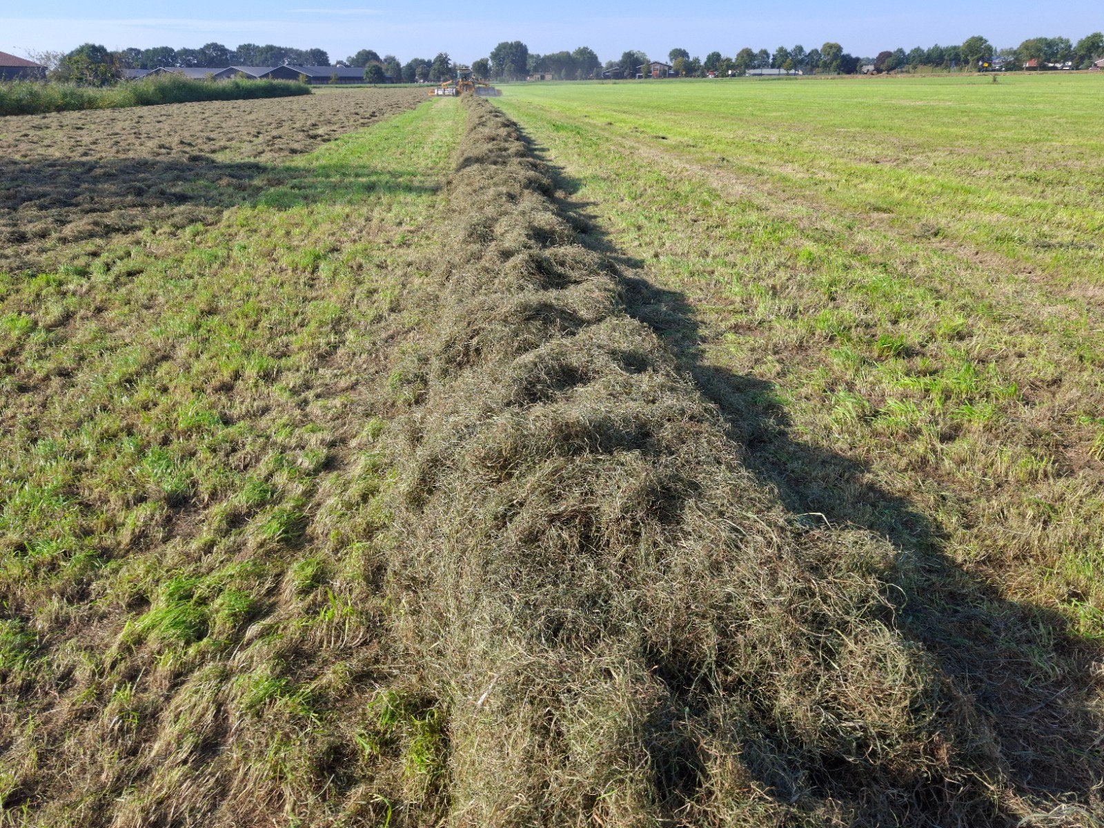 te koop midibalen  voordroog, Dieren en Toebehoren