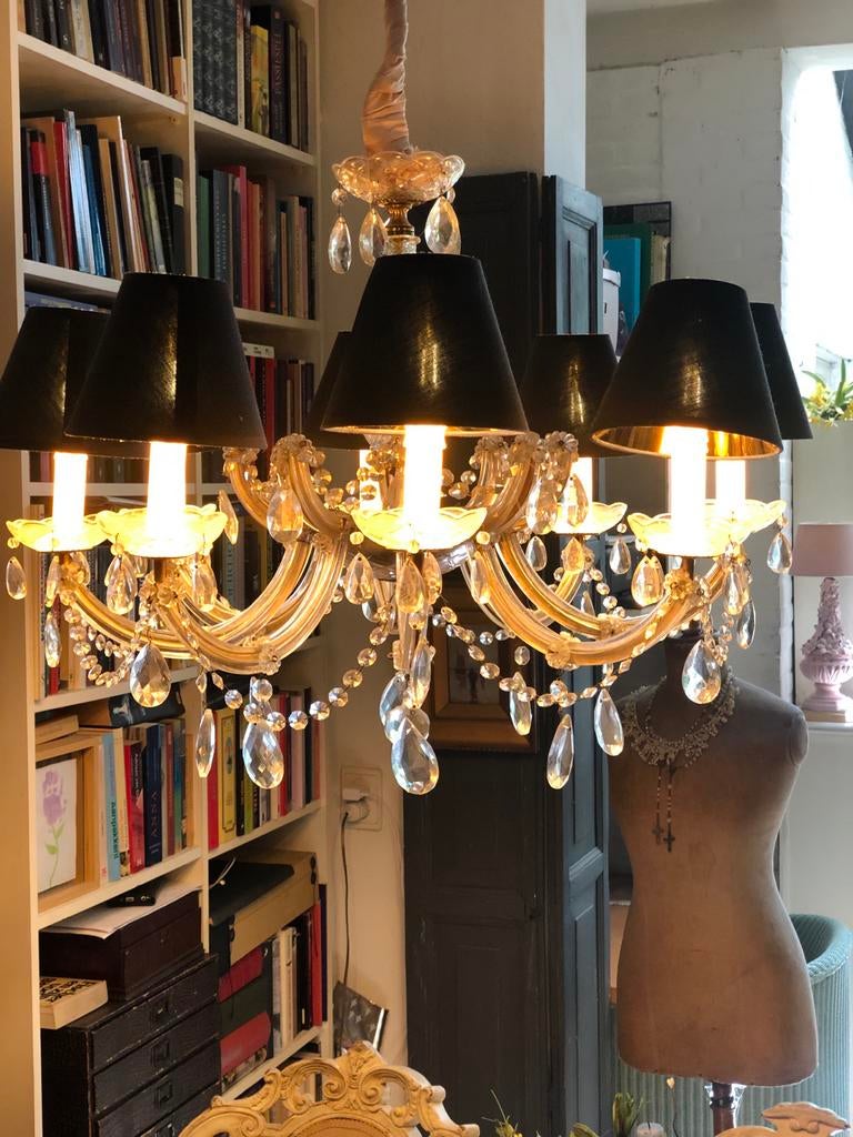 Maria Theresia kroonluchter met acht armen, Ophalen, Gebruikt, Glas
