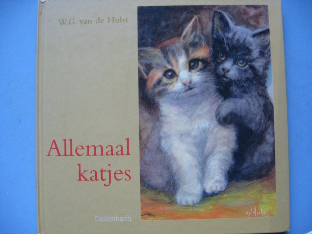 W.G. van de Hulst, Allemaal katjes, Ophalen of Verzenden, Gelezen, Fictie algemeen