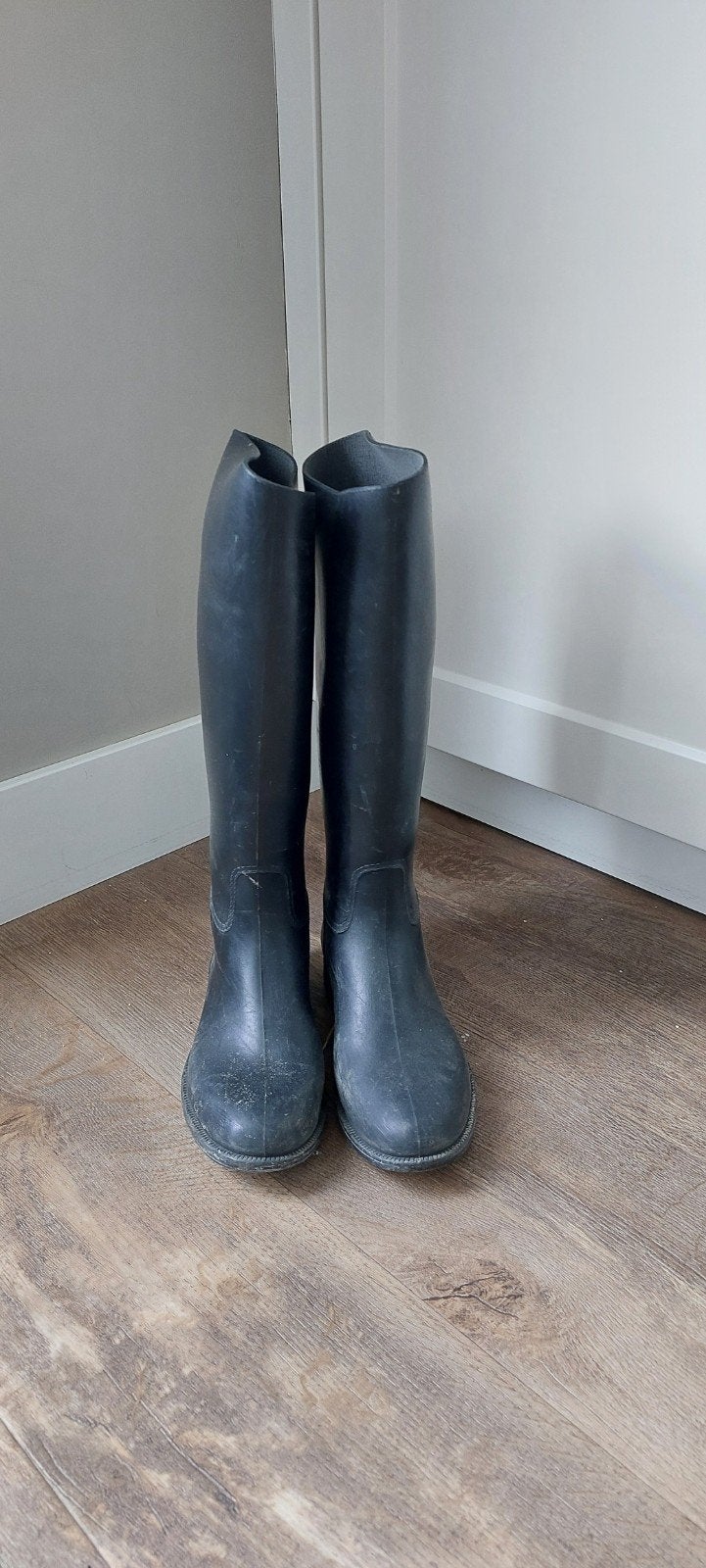 rijlaarzen maat 38, Dieren en Toebehoren, Paardrijkleding, Ophalen of Verzenden, Gebruikt, Dressuur, Schoeisel