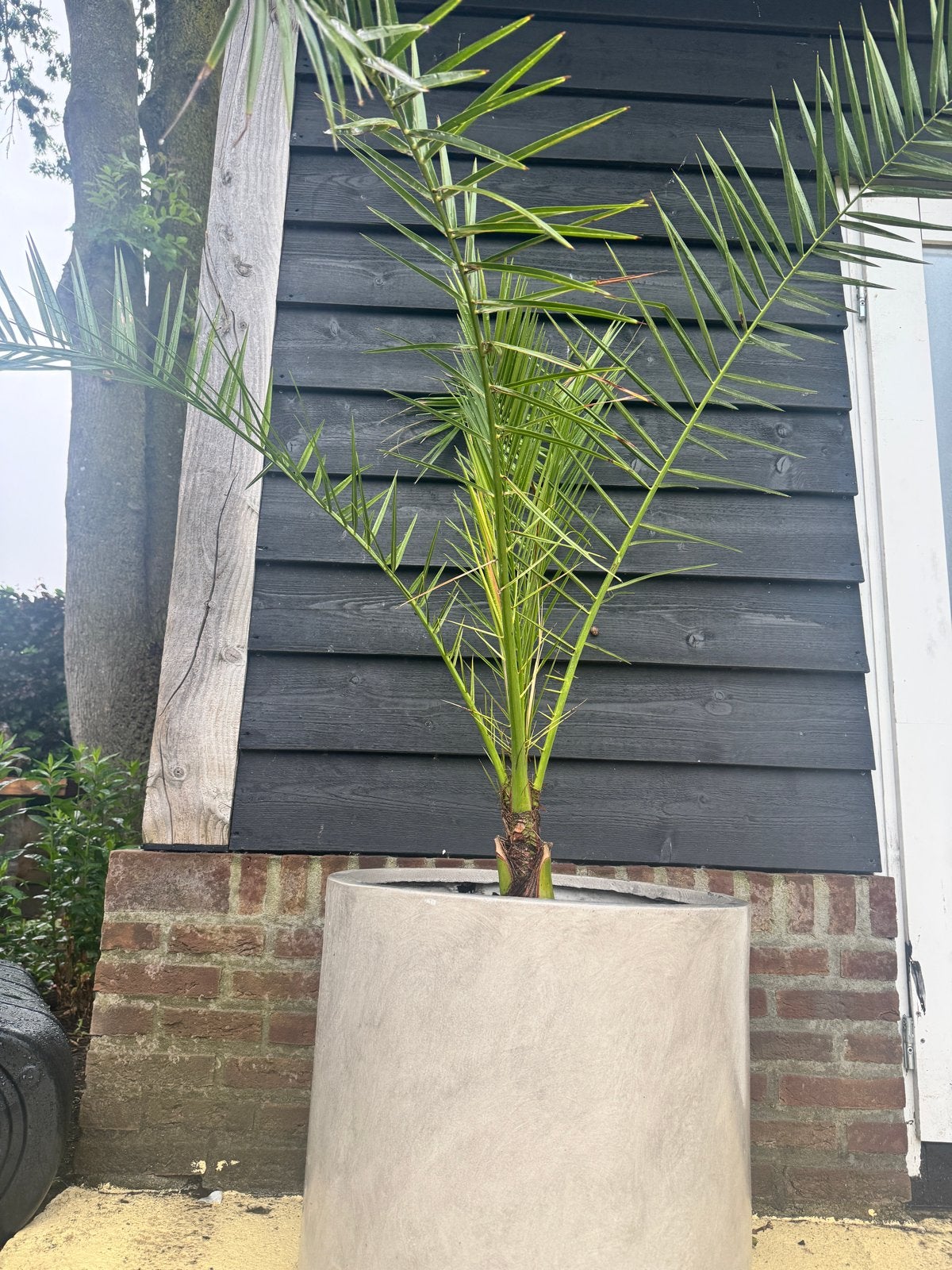 Ronde Clayfiber Bloempot - Ibiza Style -Vorstvriendelijk, Ophalen, Steen, Minder dan 60 cm, Rond