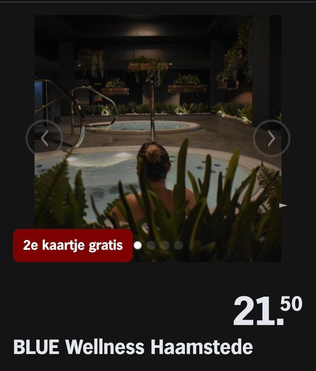 BLUE WELLNESS HAAMSTEDE ♡ 2e kaartje gratis (AH Actie), Overige soorten