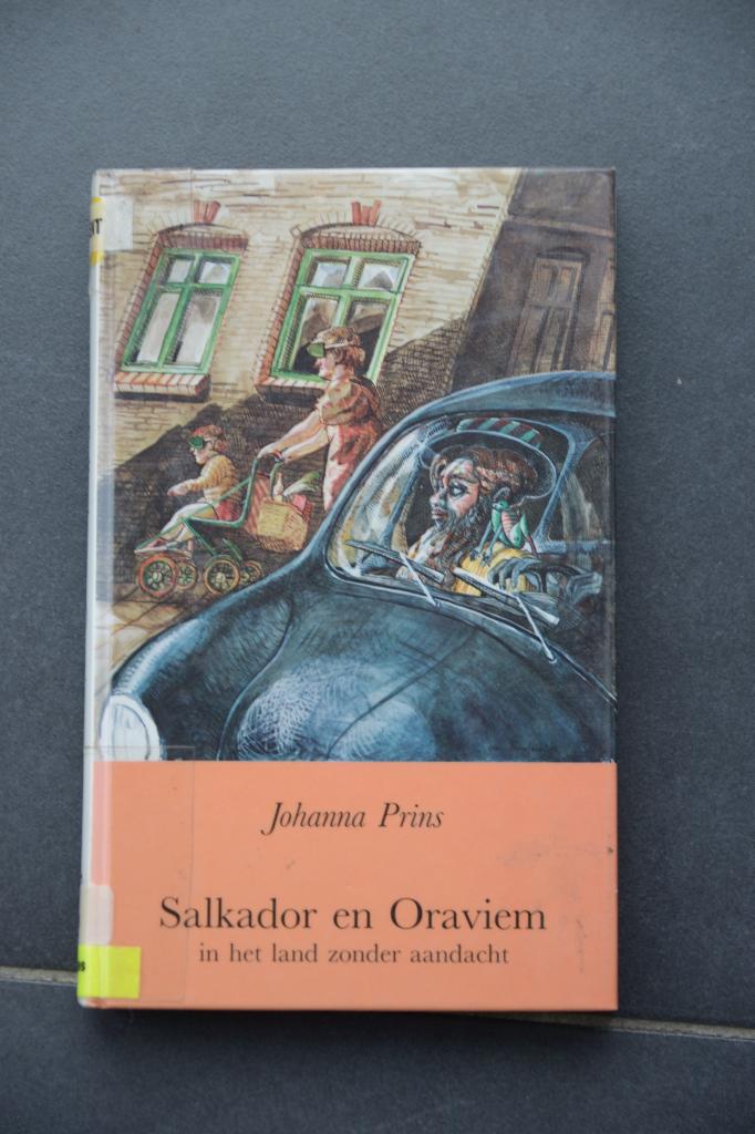 Salkador en Oraviem in het land zonder aandacht. J. Prins., Johanna Prins, Ophalen of Verzenden, Zo goed als nieuw, Fictie