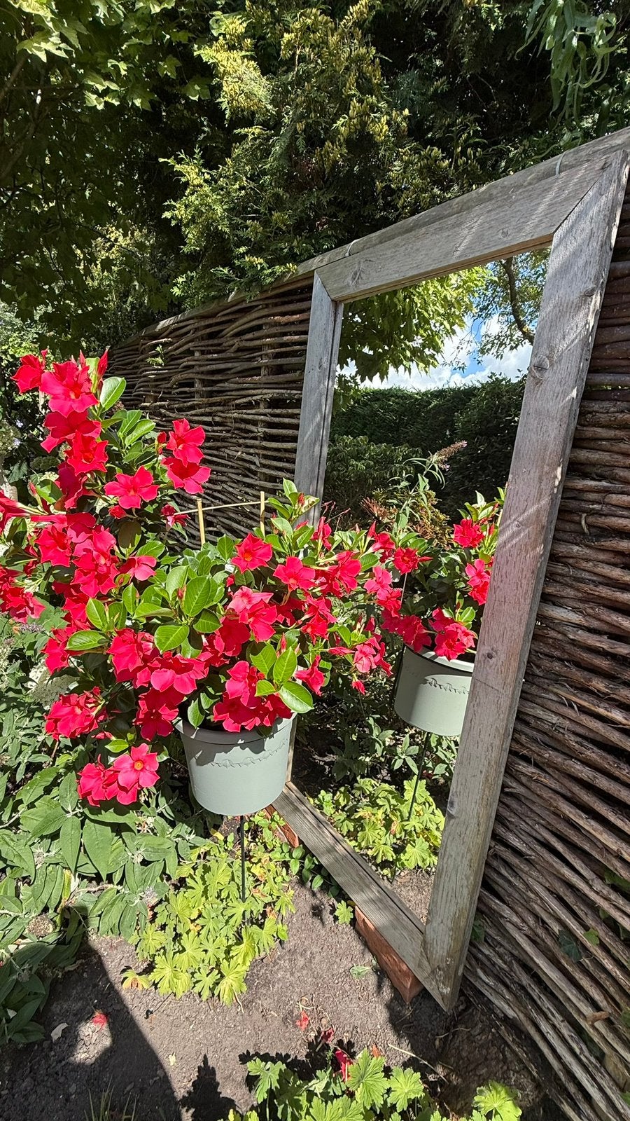 Steigerhouten tuinspiegel, Tuin en Terras, Ophalen, Gebruikt
