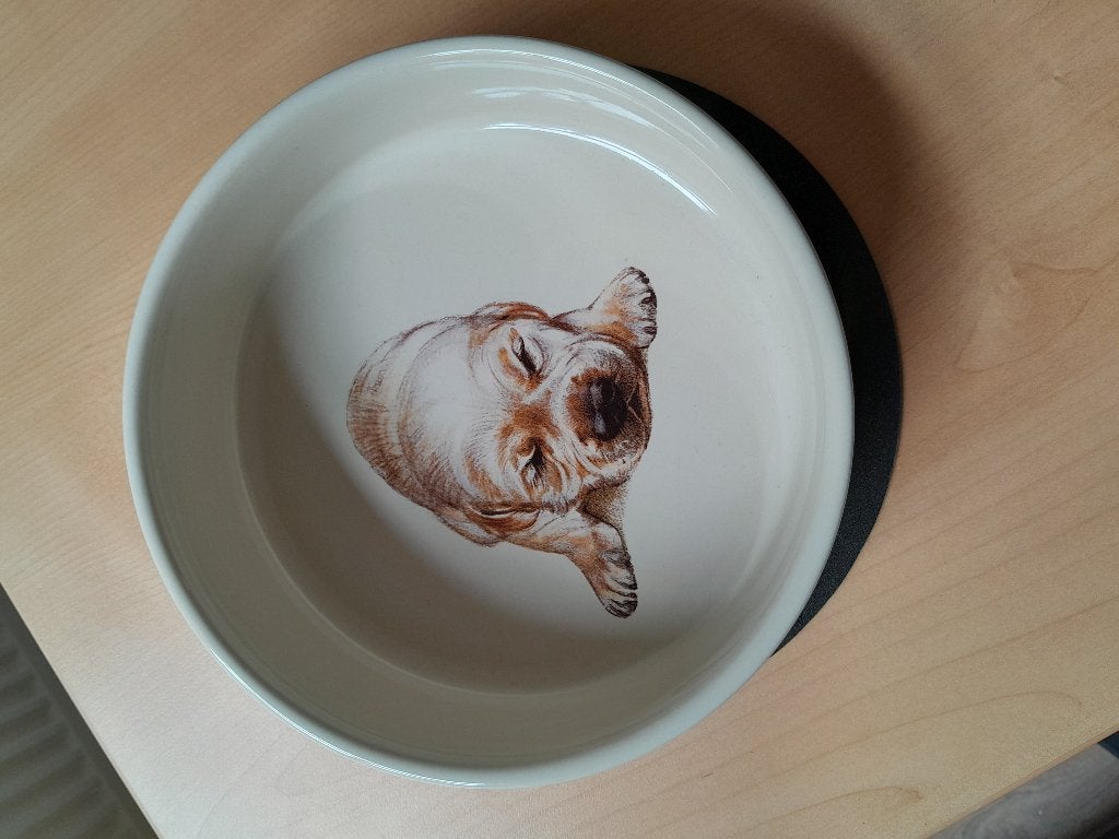 Hondenvoerbak, Dieren en Toebehoren, Ophalen, Nieuw