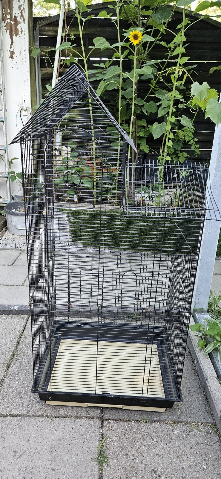 Deze zwarte kaler kooi, Ophalen of Verzenden, Zo goed als nieuw, Vogelkooi
