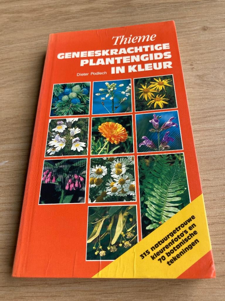 Boek Dieter Podlech, Boeken, Ophalen of Verzenden, Gelezen, Bloemen, Planten en Bomen