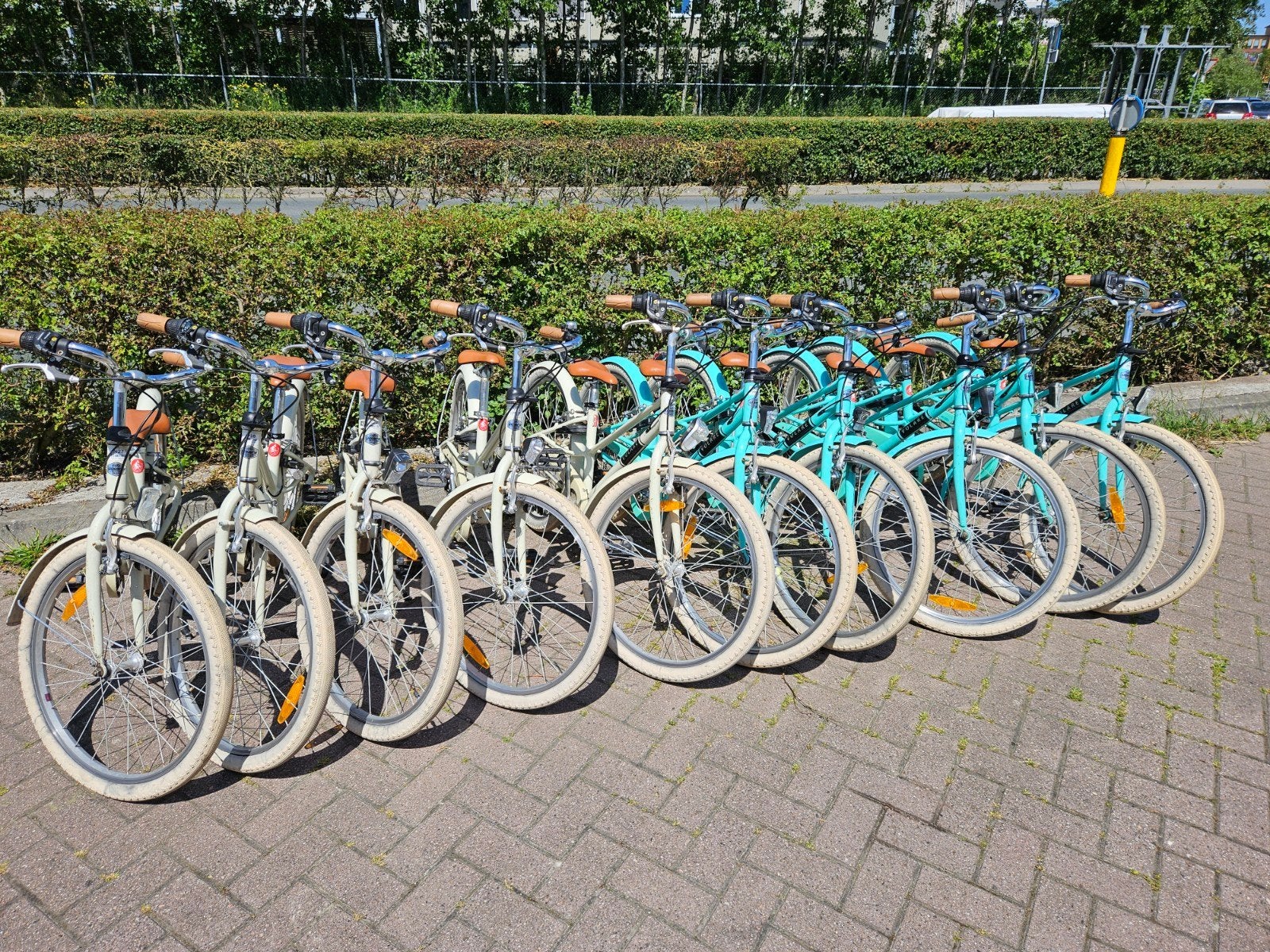 Volare Dames Kinderfietsen - Diverse Maten en Kleuren, 20 inch of meer, Gebruikt, Velgrem, Info@volare-bikes.com