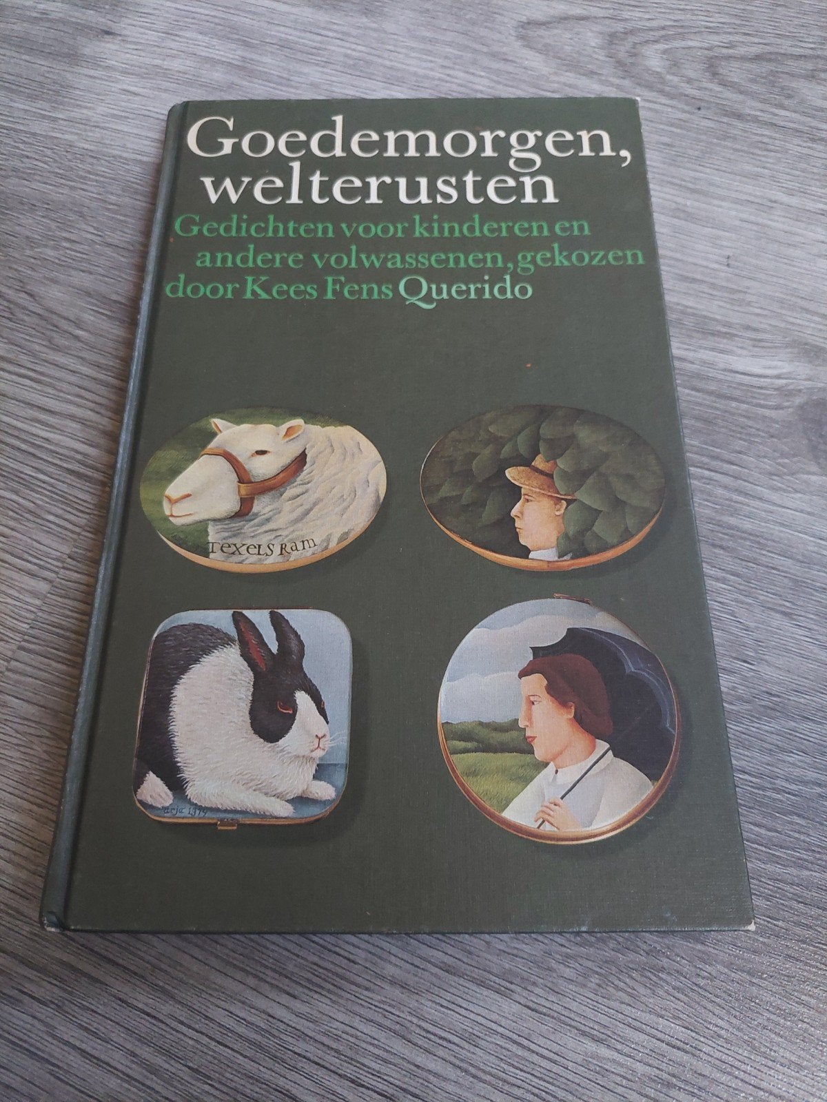 vintage gedichtenboek KEES FENS / QUERIDO  1975, Boeken, Gedichten en Poëzie, Meerdere auteurs, Verzenden, Zo goed als nieuw, Kees fens / querido