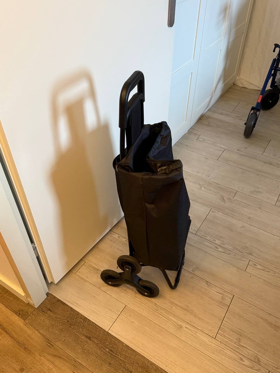 Boodschappentrolley, Ophalen, Zo goed als nieuw, 30 cm of meer